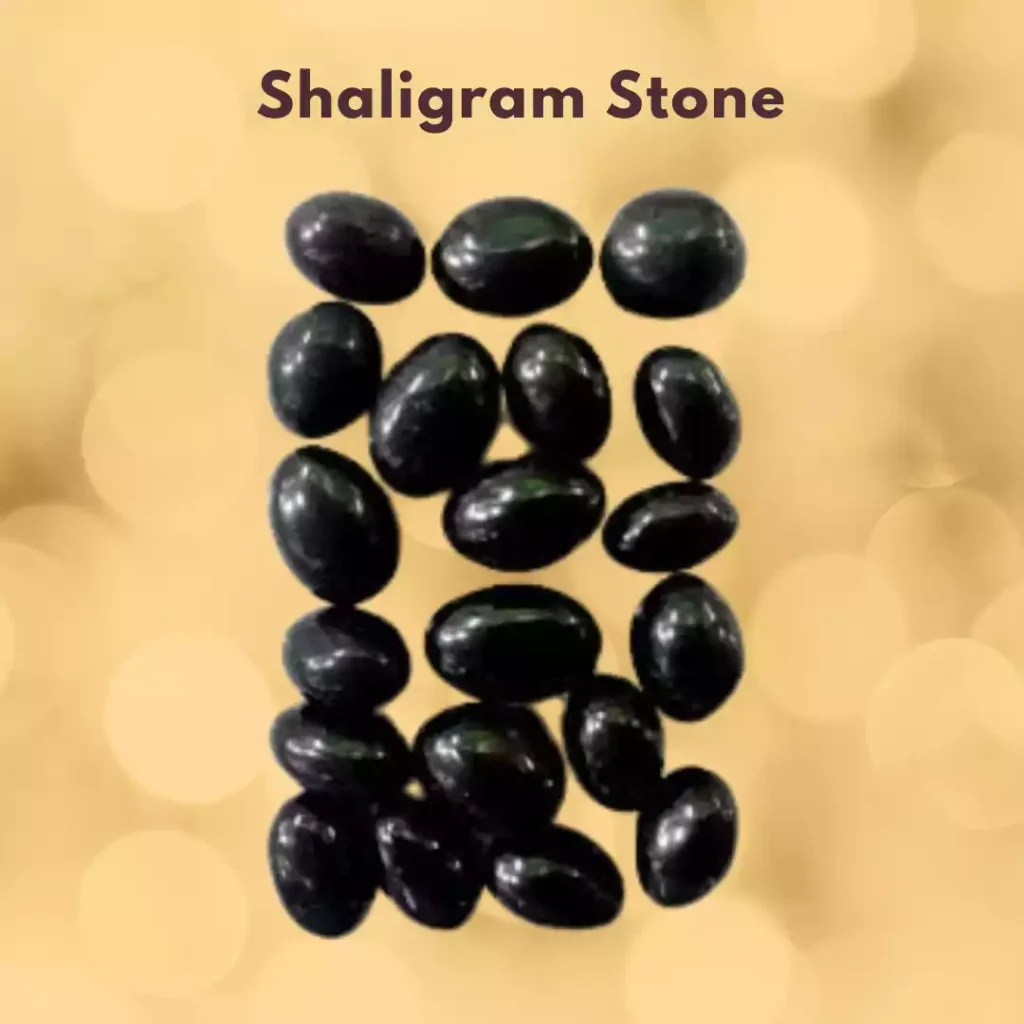  Tulsi Vivah Shaligram Stone